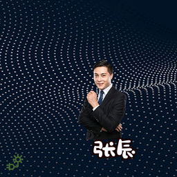 张辰